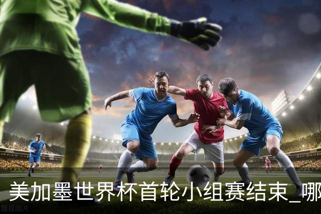 美加墨世界杯首轮小组赛结束 哪支球队最令人失望？